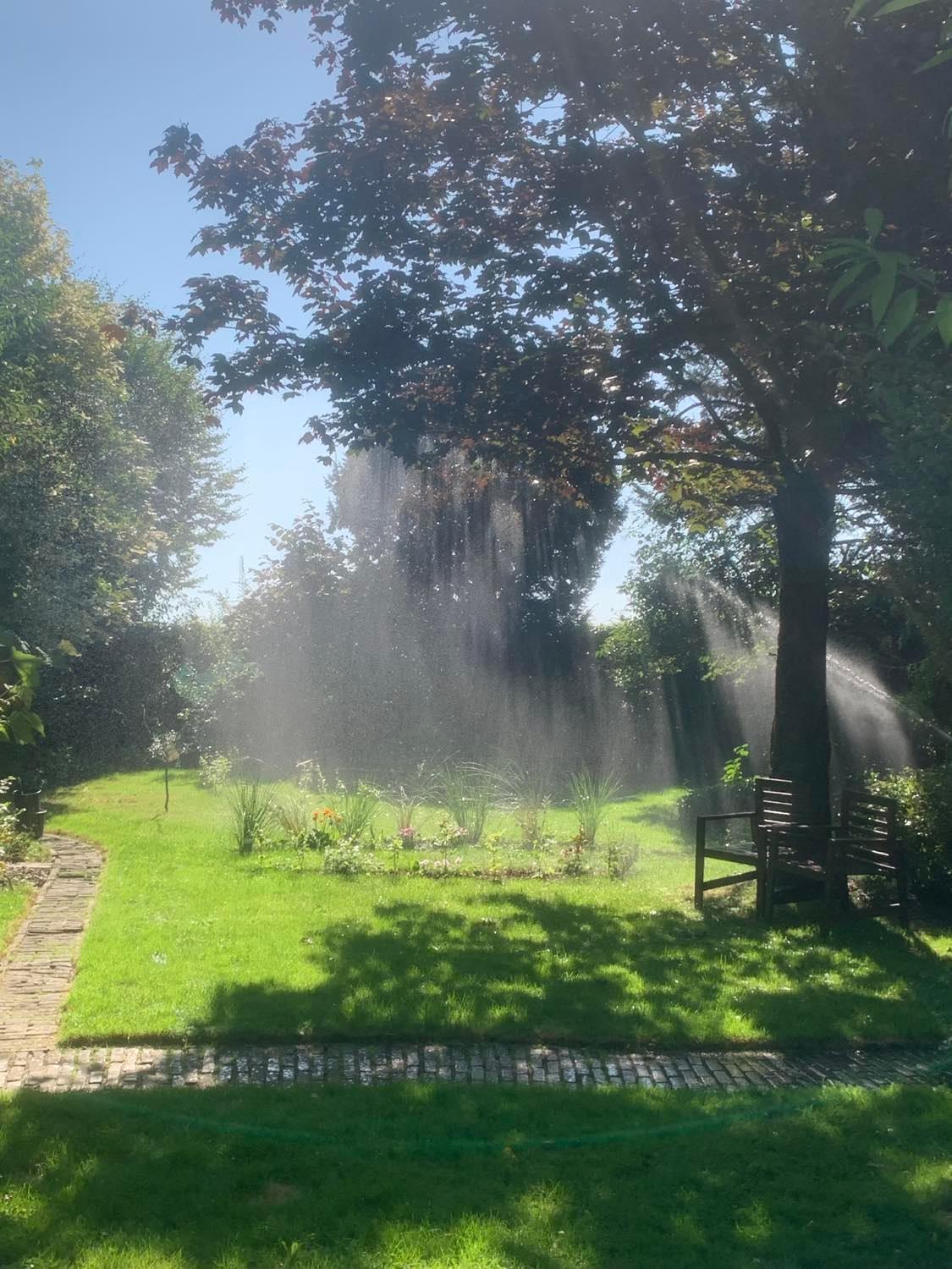 B&B Dageraad Bocholt Exteriör bild